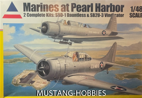 Accurate Miniatures 1/48 Marines at Pearl Harbor SBD-1 Dauntless & SB2U ...